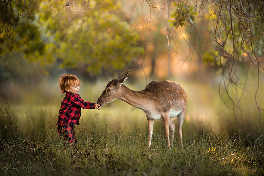 产品展示标题五